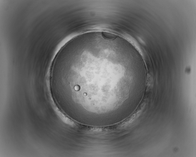 X0000100471098200806131122