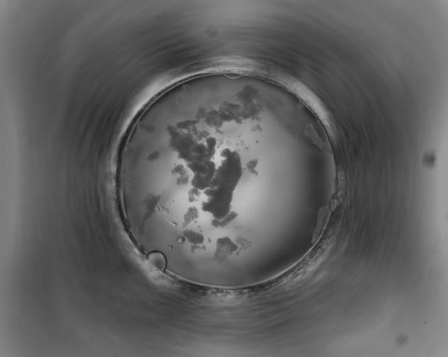 X0000100471099200806131122