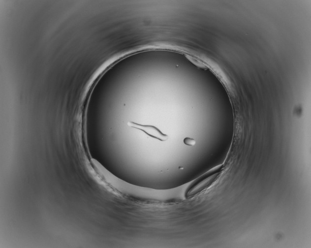 X0000100471100200806131121