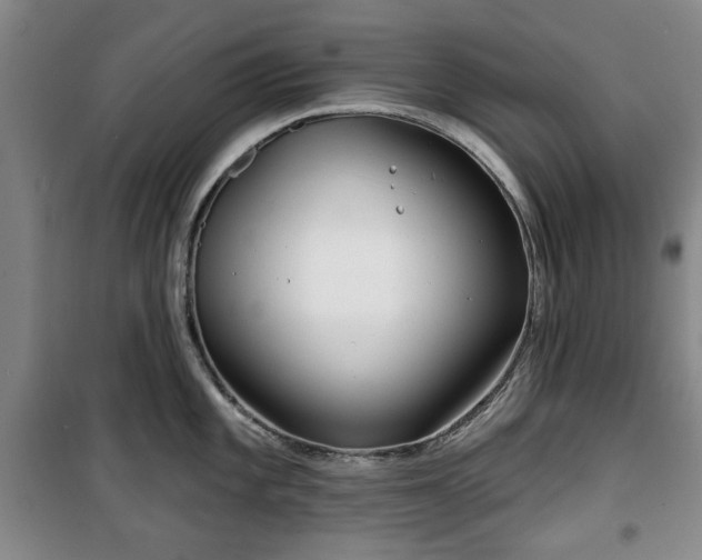 X0000100471101200806131121