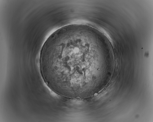 X0000100471103200806131121