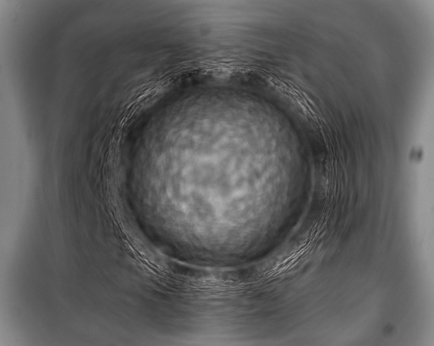 X0000100471105200806131121