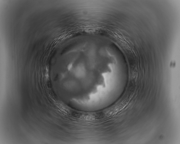 X0000100471106200806131121