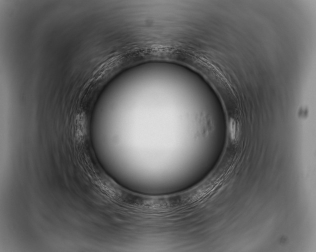 X0000100471107200806131121