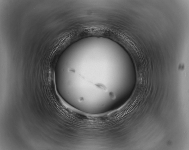 X0000100471108200806131121