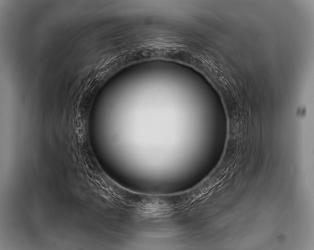 X0000100471109200806131121