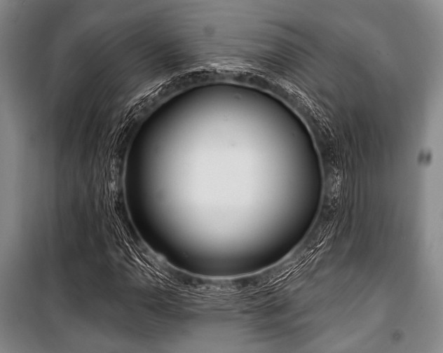 X0000100471110200806131121