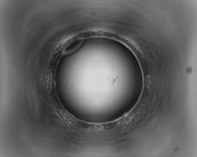 X0000100471111200806131121