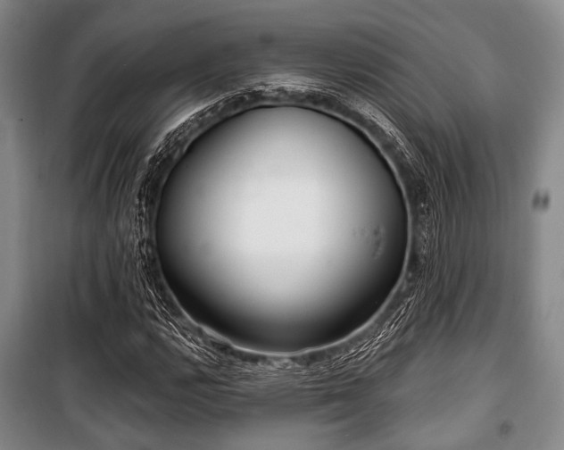 X0000100471112200806131121