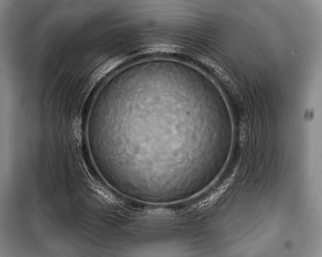 X0000100471113200806131121