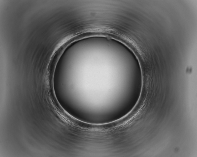 X0000100471114200806131121