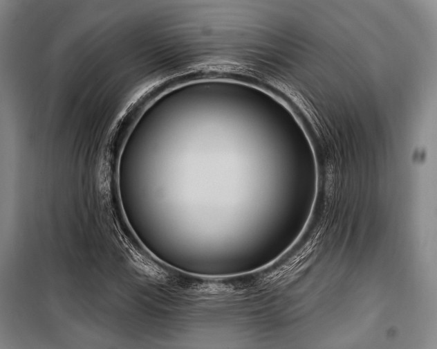 X0000100471115200806131121