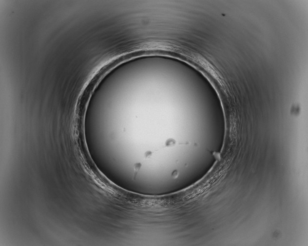 X0000100471116200806131121