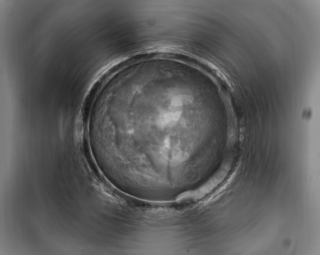 X0000100471117200806131121