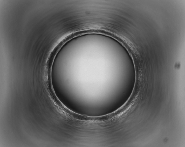 X0000100471118200806131121