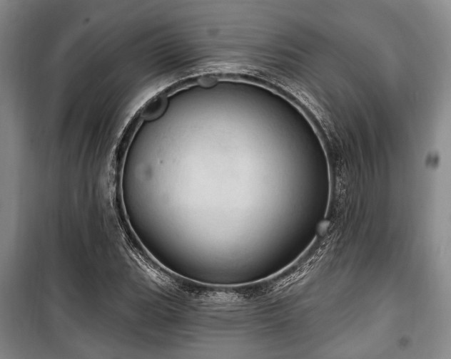 X0000100471119200806131121