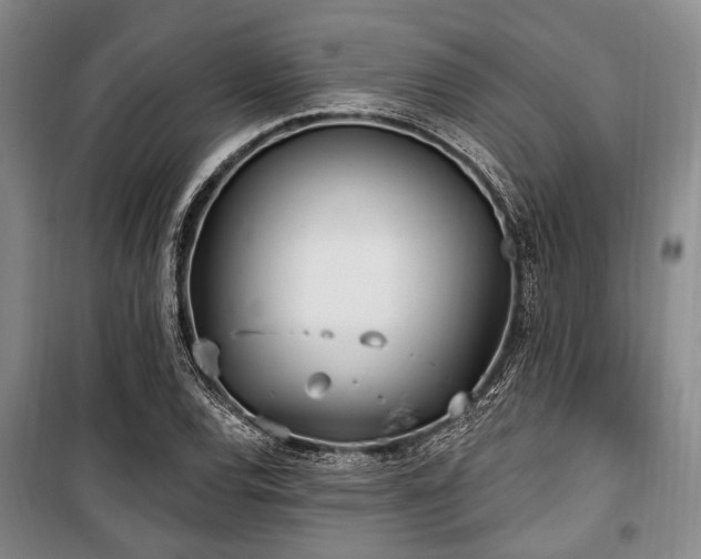 X0000100471120200806131121