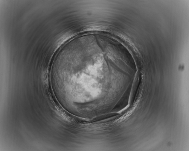 X0000100471121200806131121