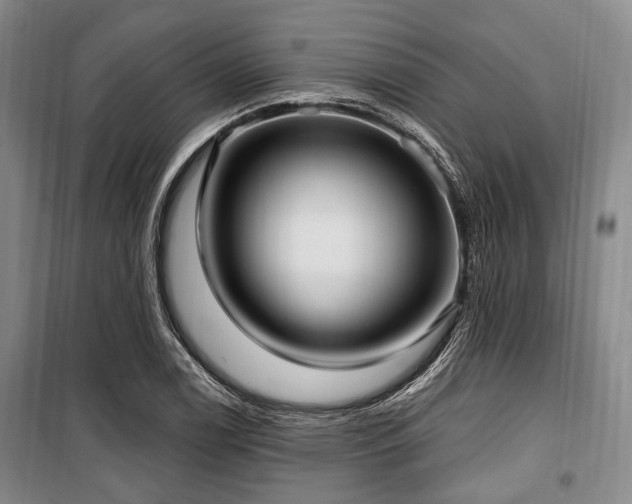 X0000100471122200806131121