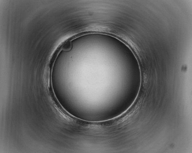 X0000100471123200806131121