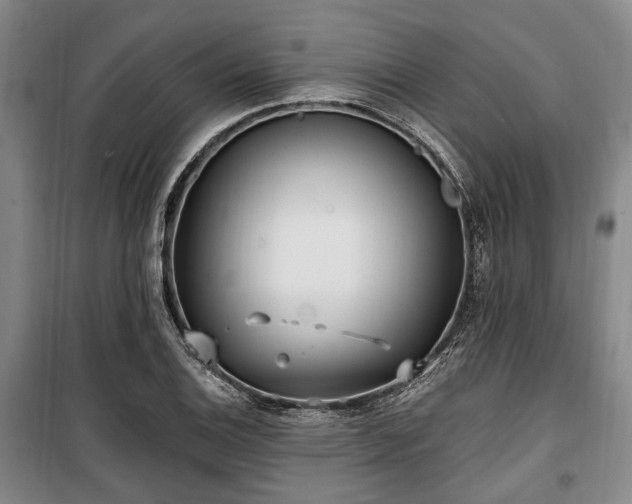 X0000100471124200806131121