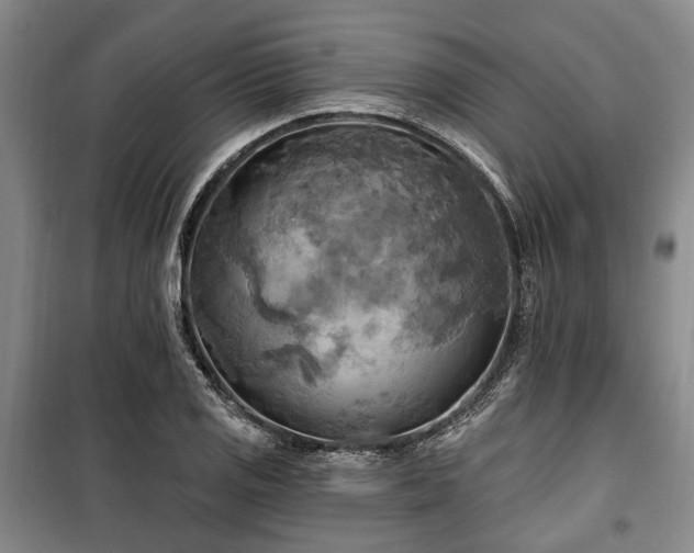 X0000100471125200806131121