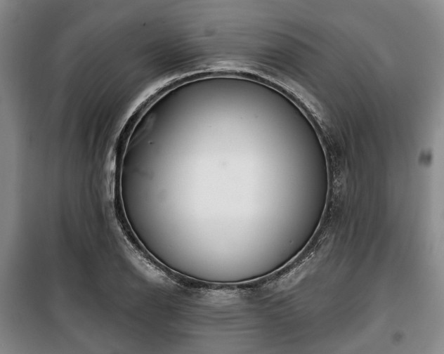 X0000100471126200806131121