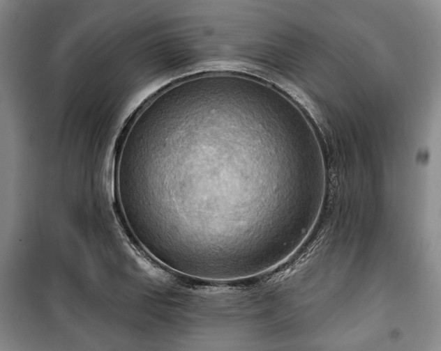 X0000100471127200806131121