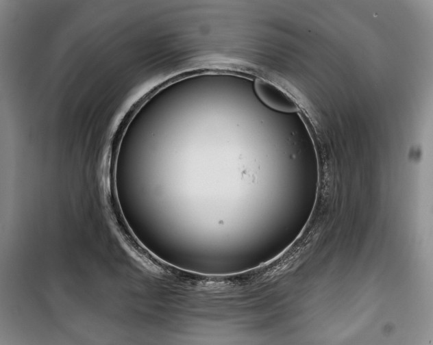 X0000100471128200806131121