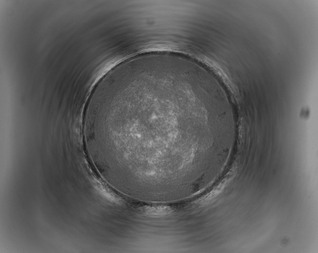 X0000100471129200806131121