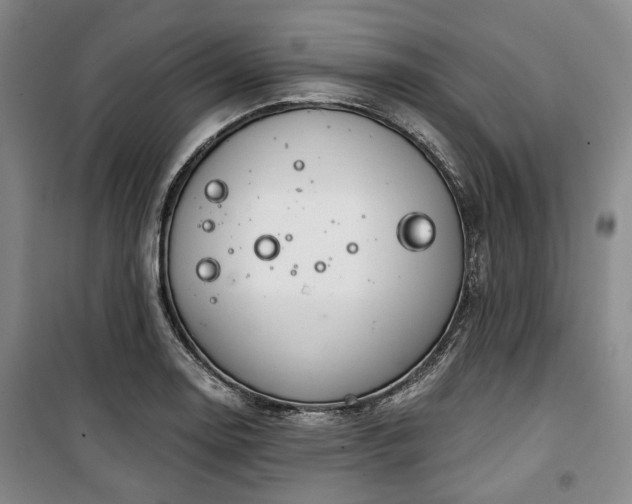 X0000100471130200806131121