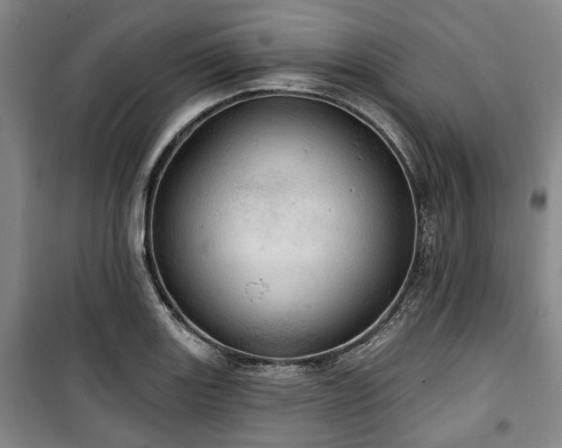 X0000100471131200806131121