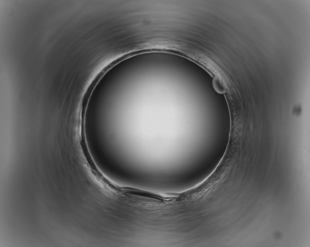 X0000100471132200806131121