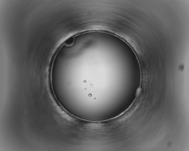 X0000100471134200806131121