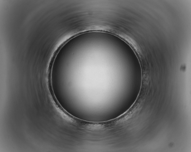 X0000100471135200806131121