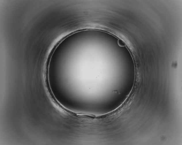 X0000100471136200806131121