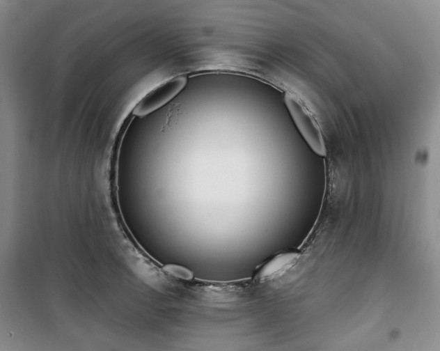 X0000100471138200806131121