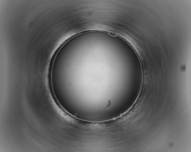 X0000100471139200806131121