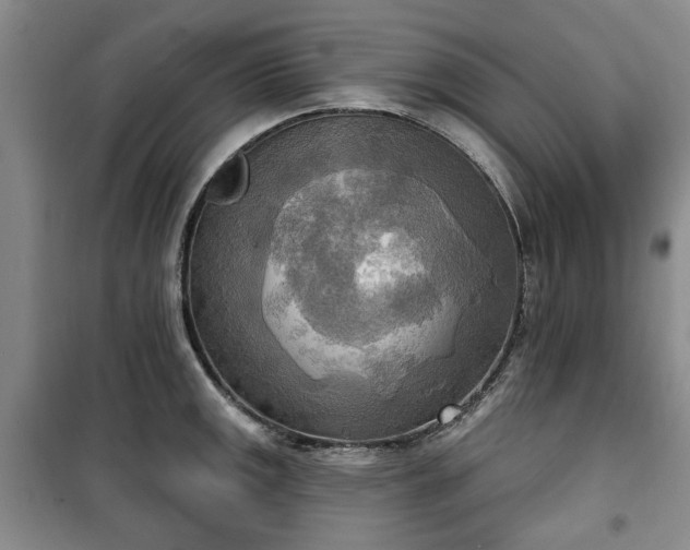 X0000100471141200806131121