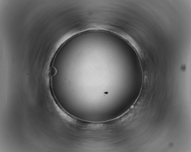 X0000100471143200806131121