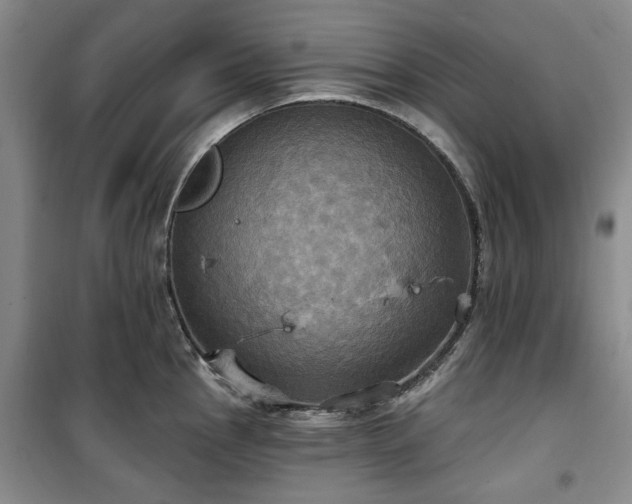 X0000100471145200806131121