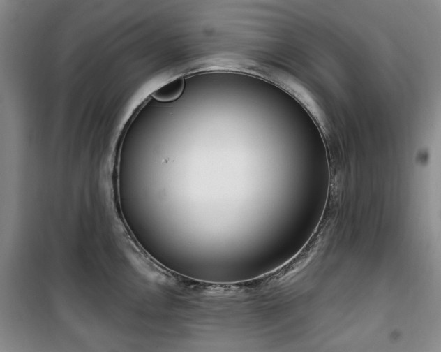 X0000100471146200806131121