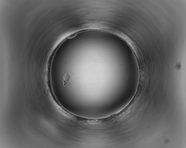 X0000100471147200806131121