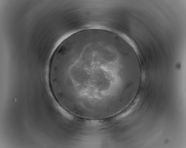 X0000100471149200806131121