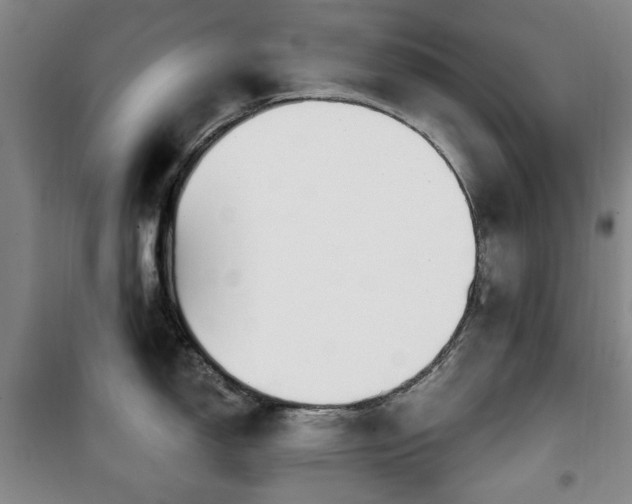 X0000100471150200806131121