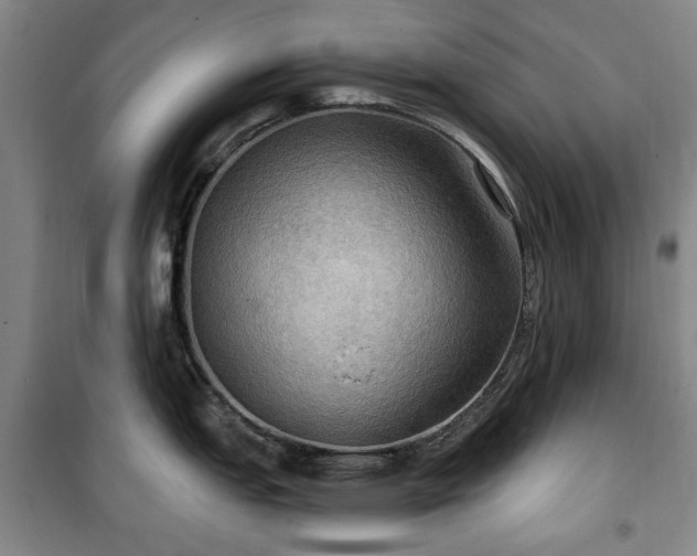 X0000100471151200806131121