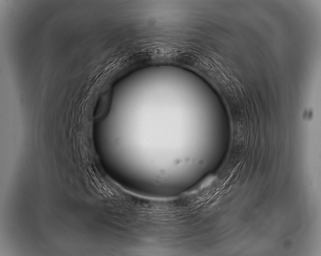 X0000100471153200806131121