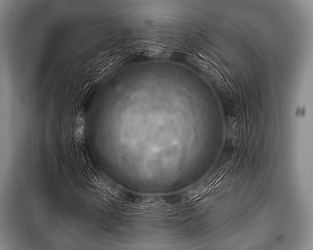 X0000100471154200806131121