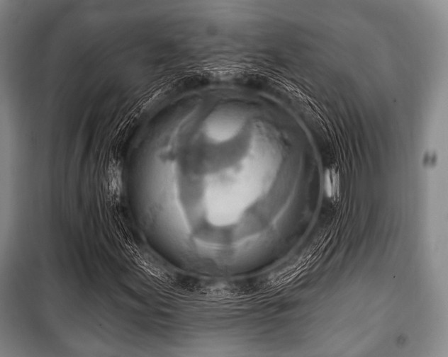 X0000100471155200806131121