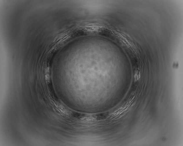 X0000100471156200806131121